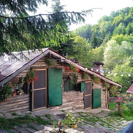 Appartamento Zimska Idila Crni Vrh Esterno foto