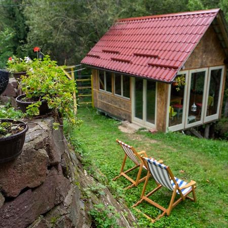 Appartamento Zimska Idila Crni Vrh Esterno foto