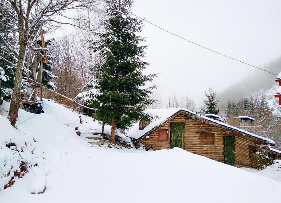 Appartamento Zimska Idila Crni Vrh Esterno foto