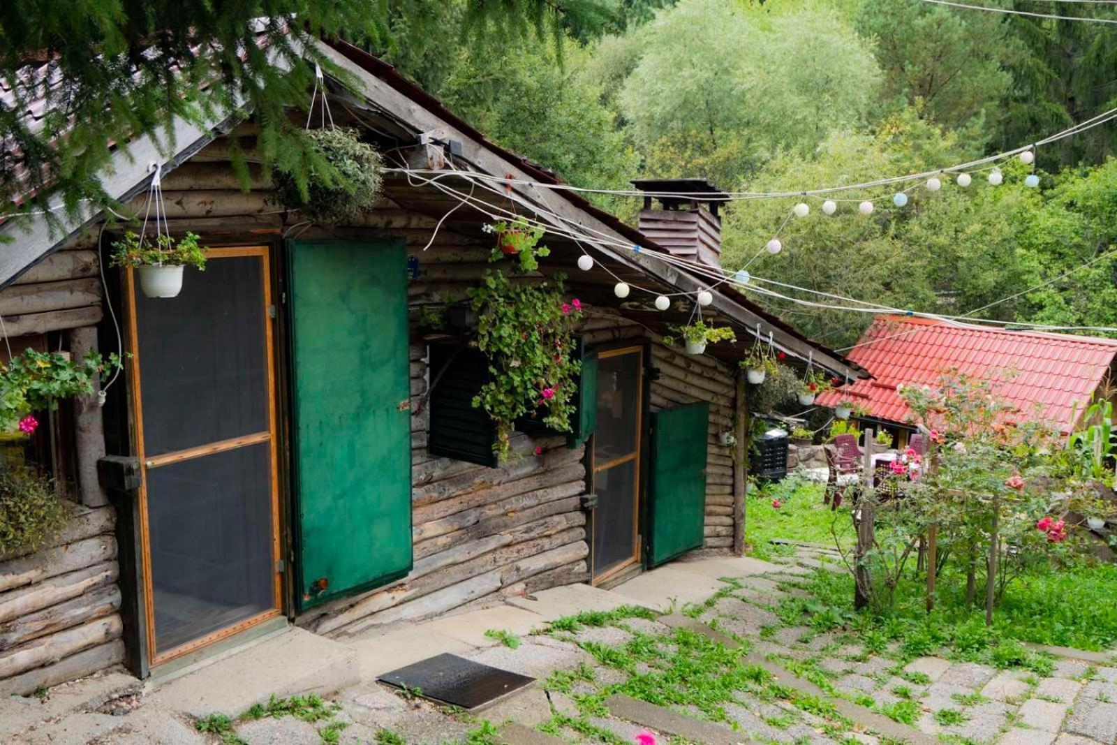 Appartamento Zimska Idila Crni Vrh Esterno foto